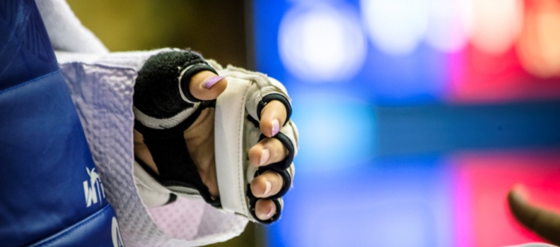 New Martial Arts Partnership Announced Between Karate and Taekwondo
